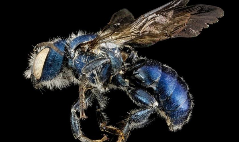 Click for the NPR article and more photos.